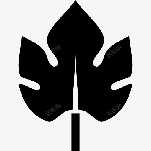 叶片外形美观图标png_新图网 https://ixintu.com 叶 形状 性质 自然 自然的形状 轮廓 黑色