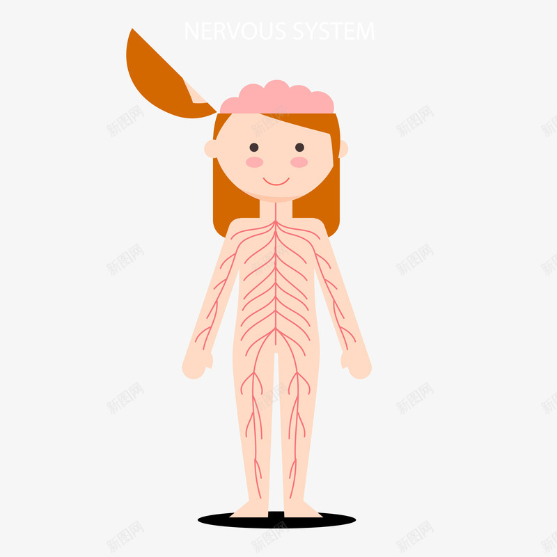 带花环的女孩png免抠素材_新图网 https://ixintu.com 女孩身体示意图 女孩身体结构图 带花环的女孩 站着的女孩 结构图