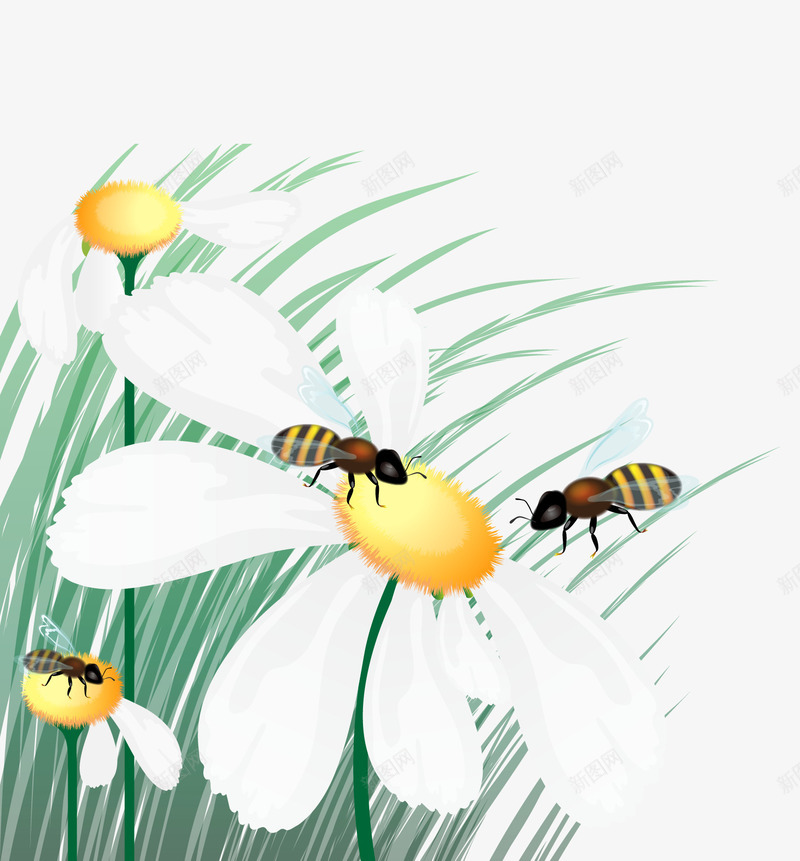 蜜蜂花丛采蜜手绘矢量图ai免抠素材_新图网 https://ixintu.com 手绘动物 手绘蜜蜂 矢量蜜蜂 矢量雏菊 矢量图