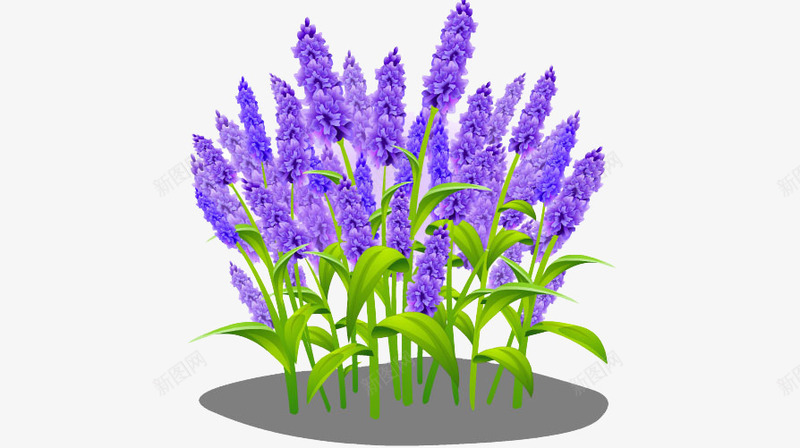 紫藤萝png免抠素材_新图网 https://ixintu.com 植物 紫藤萝 鲜花