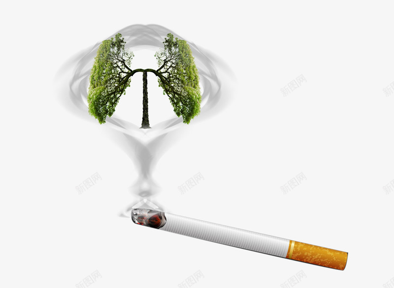 禁烟png免抠素材_新图网 https://ixintu.com nosmoking 不准吸烟 不抽烟 健康 吸烟有害健康 烟肺 环保 禁止吸烟 禁烟 香烟