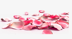 桃花花瓣节日鲜花飘落装饰粉红素素材