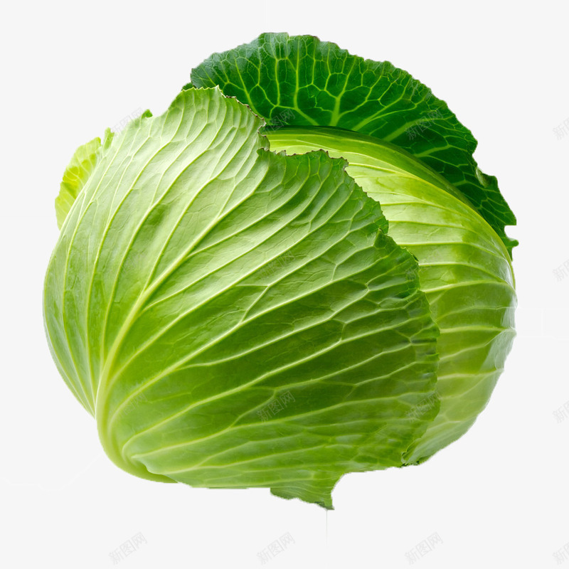 绿甘兰蔬菜png免抠素材_新图网 https://ixintu.com 健康 球形 绿甘兰 蔬菜