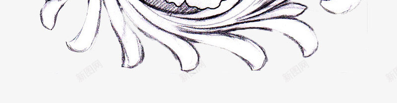 唐草元素画png免抠素材_新图网 https://ixintu.com 小苍兰 简笔画 简笔画五官素材 素材 装饰画 黑白