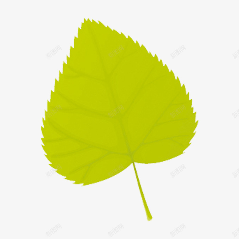 植物树叶png免抠素材_新图网 https://ixintu.com 叶子 形状 心形 枝叶 树叶高清 树叶高清图片 清新树叶 矢量绿色树叶 矢量绿色植物 绿色植物 绿色植物图片 黄色树叶