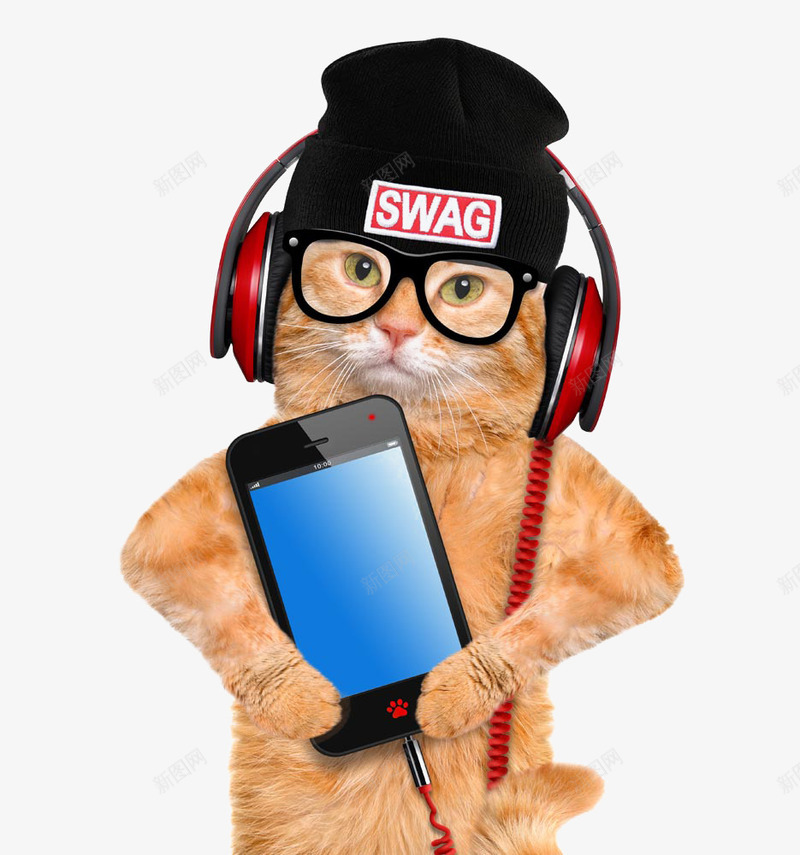 听音乐的猫咪png免抠素材_新图网 https://ixintu.com 创意 带着帽子的猫 拿着手机的猫 眼镜