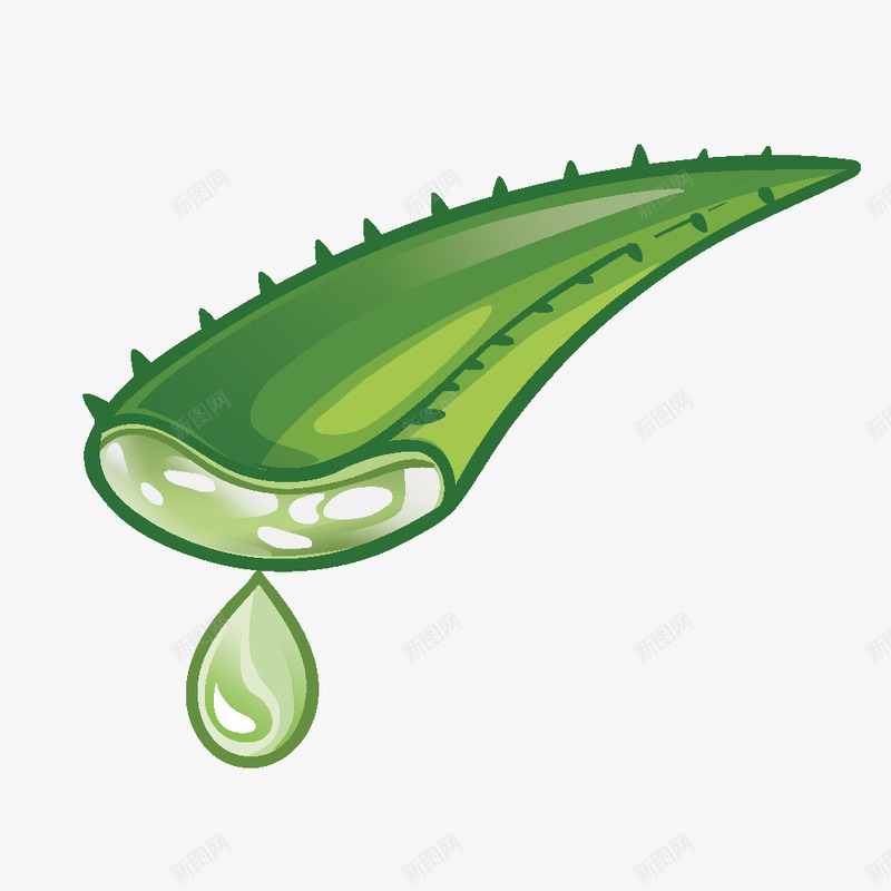 卡通手绘芦荟叶子芦荟汁矢量图ai免抠素材_新图网 https://ixintu.com 创意 化妆品 卡通 手绘 绿色芦荟 芦荟 芦荟化妆 芦荟化妆品 芦荟叶子 芦荟汁 矢量图
