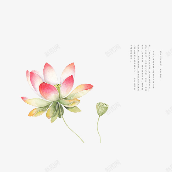荷塘月色png免抠素材_新图网 https://ixintu.com 池塘 竹子荷花荷叶满池塘 粉色荷花 荷叶 荷花 荷花与诗 荷花图片 荷花美景