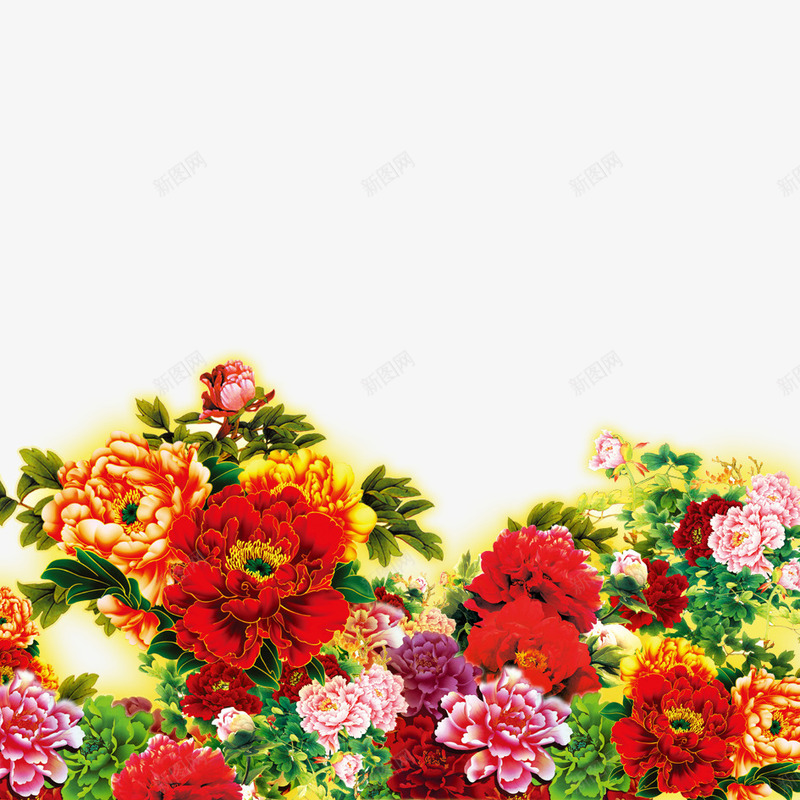 牡丹花psd免抠素材_新图网 https://ixintu.com 叶子 各类牡丹花 唯美牡丹花 牡丹花 花朵 花茎 鲜花