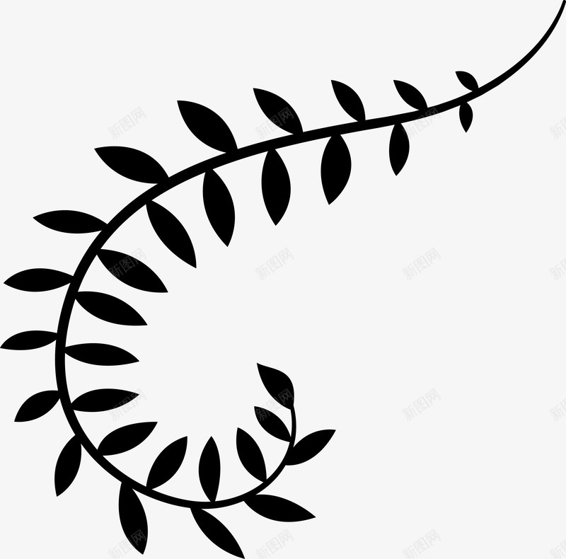 手绘枝叶png免抠素材_新图网 https://ixintu.com 印花图案 手绘花朵 植物叶子 植物花朵 黑白花朵图案