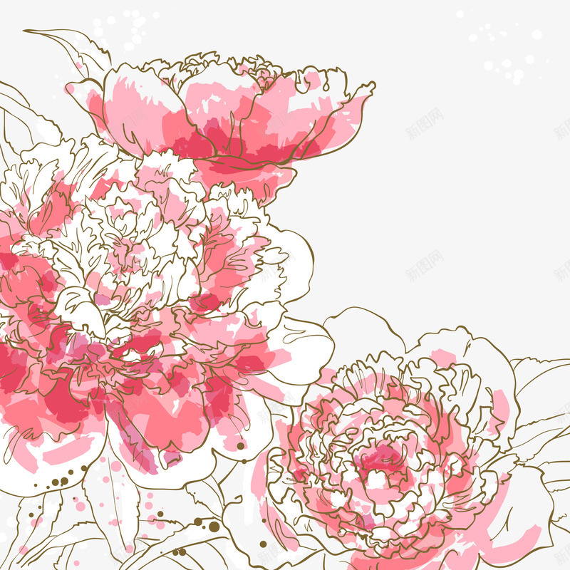 牡丹鲜花矢量图eps免抠素材_新图网 https://ixintu.com 300像素图 EPS图免抠 大图免抠 手绘鲜花 牡丹 矢量图 粉牡丹 线条 高清免抠
