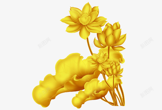 炫酷金色荷花png免抠素材_新图网 https://ixintu.com 荷花 装饰品 金色