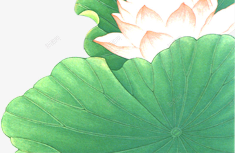 红色荷花元素psd免抠素材_新图网 https://ixintu.com 夏天 花 荷叶 荷花