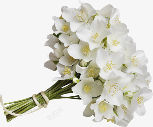 花朵png免抠素材_新图网 https://ixintu.com 一束花 捧花 鲜花