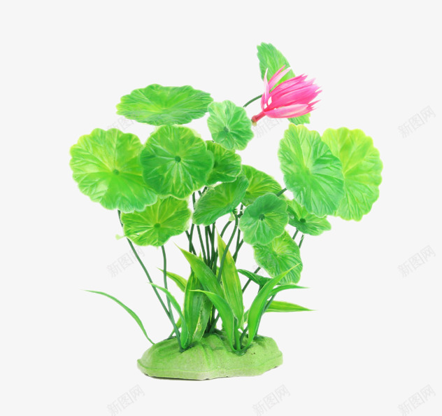 水族假花草塑料花草小荷花png免抠素材_新图网 https://ixintu.com 产品实物 塑料花草 水族假花草 绿色小荷花 花模型 鱼缸仿真花草 鱼缸造景装饰