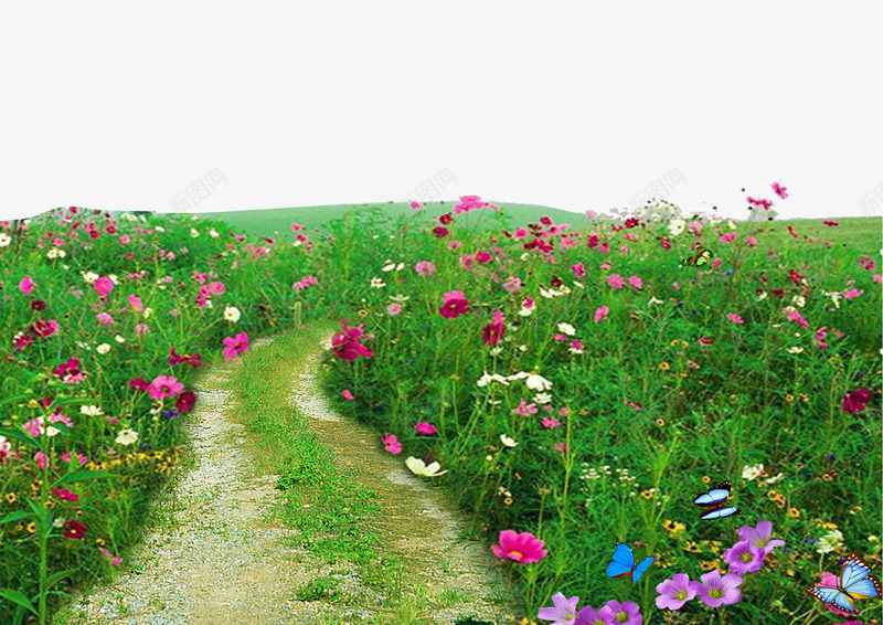 乡村小道鲜花植物背景psd免抠素材_新图网 https://ixintu.com 乡村 乡村小道鲜花植物背景 小道 植物 背景 道路 鲜花