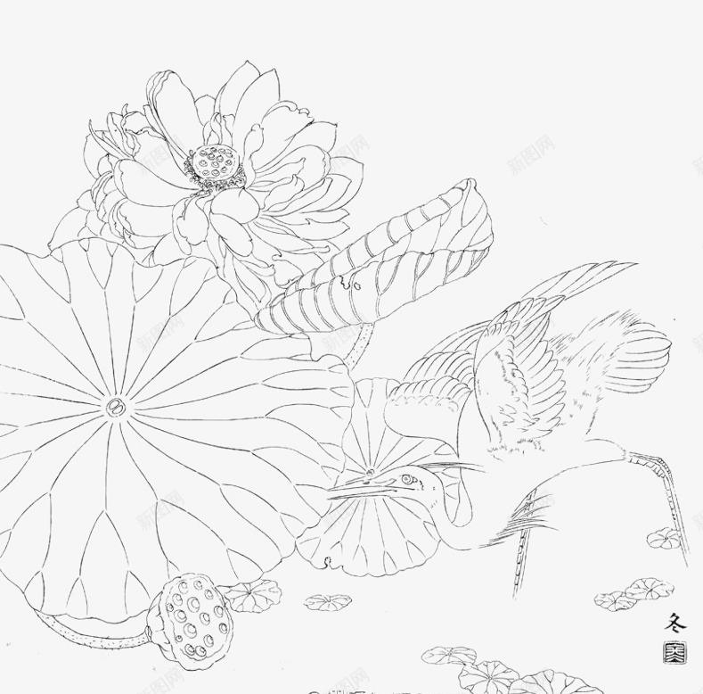工笔画荷花线稿png免抠素材_新图网 https://ixintu.com 工笔画线稿 手绘睡莲 睡莲 线稿睡莲 线稿荷花 荷花 莲花 莲花画稿图片素材