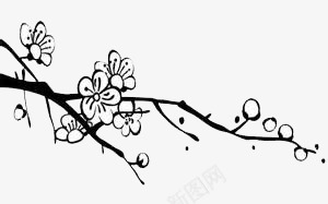 梅花png免抠素材_新图网 https://ixintu.com 素描 花朵 黑白
