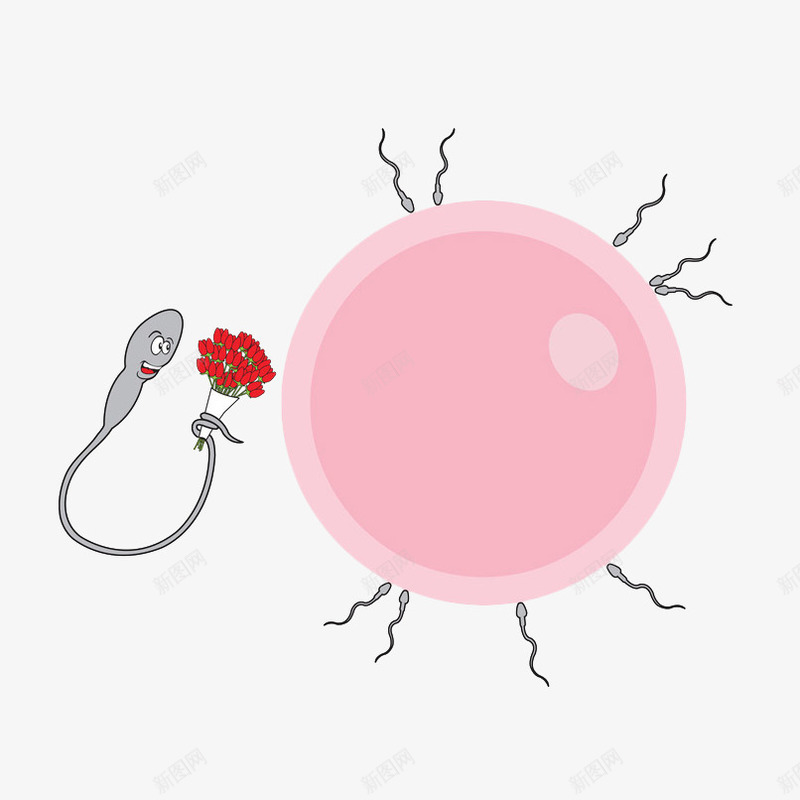 卡通精子给卵子送花png免抠素材_新图网 https://ixintu.com 健康 医疗 卡通 卡通精子 卵子 受精 捧花 插画 生殖 精子 送花