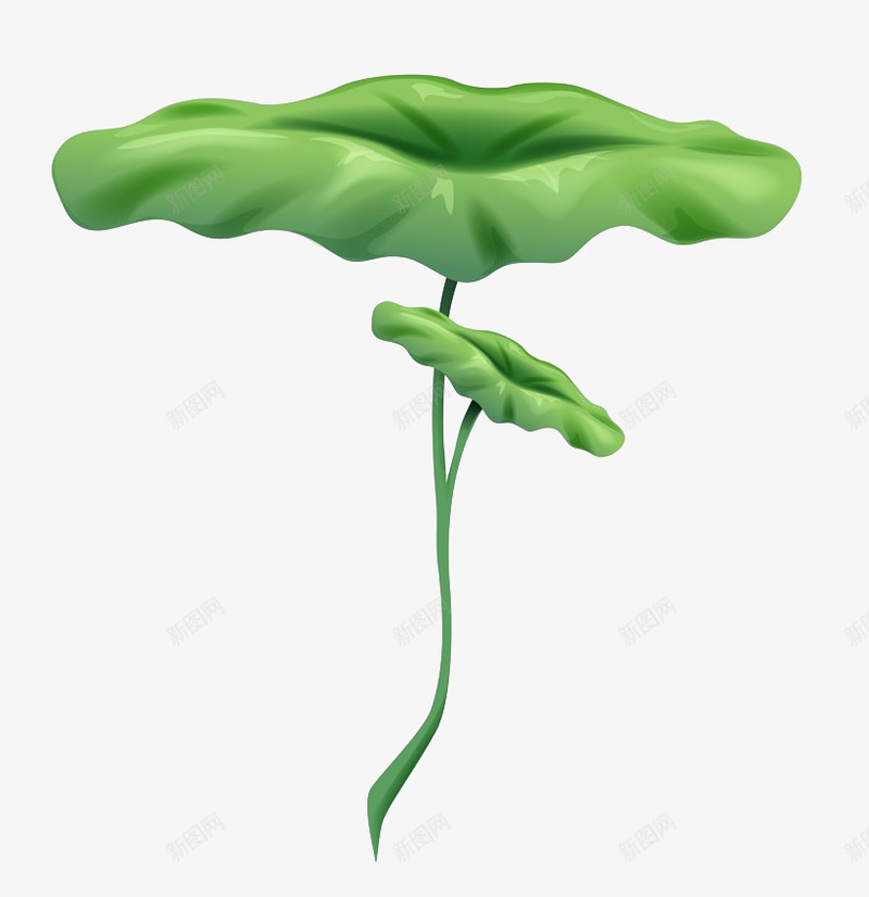 荷叶插画png免抠素材_新图网 https://ixintu.com 植物 绿色 荷叶 荷叶插画 荷叶特写 荷花叶子