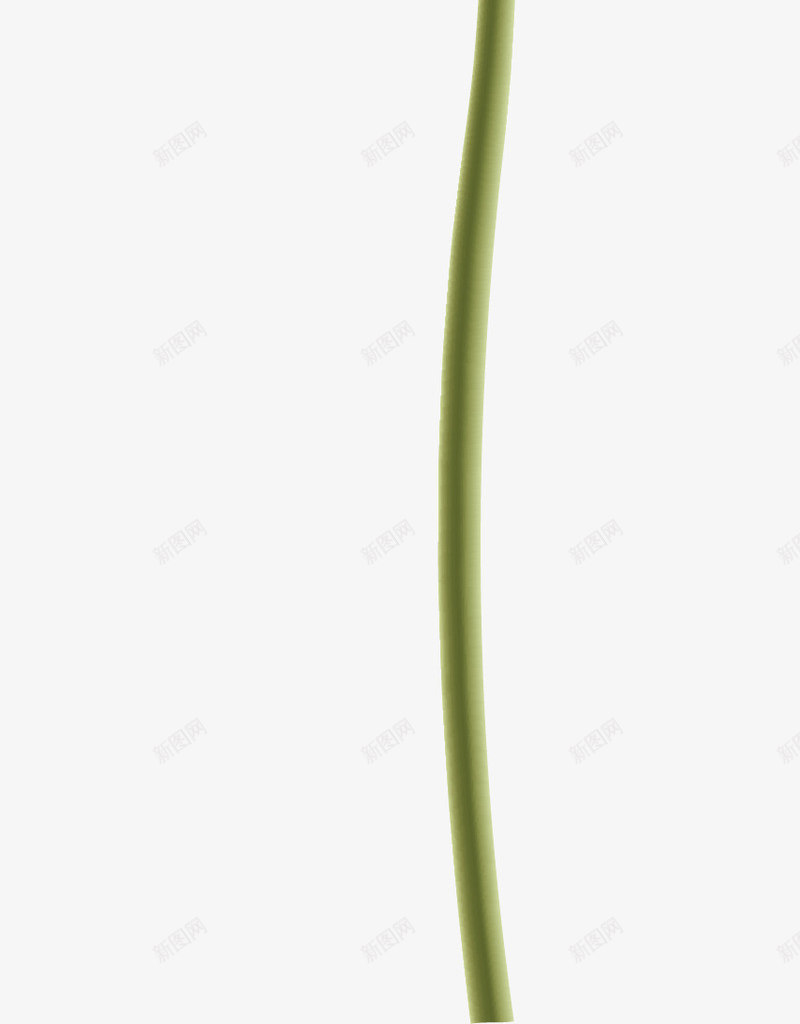水彩画鲜花矢量图ai免抠素材_新图网 https://ixintu.com 水彩画 花瓣 花蕾 鲜花 矢量图