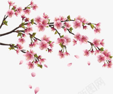 扁平风格合成粉红色的桃花png免抠素材_新图网 https://ixintu.com 合成 扁平 桃花 粉红色 风格