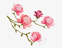 粉红色水彩手绘玉兰花装饰图案素材