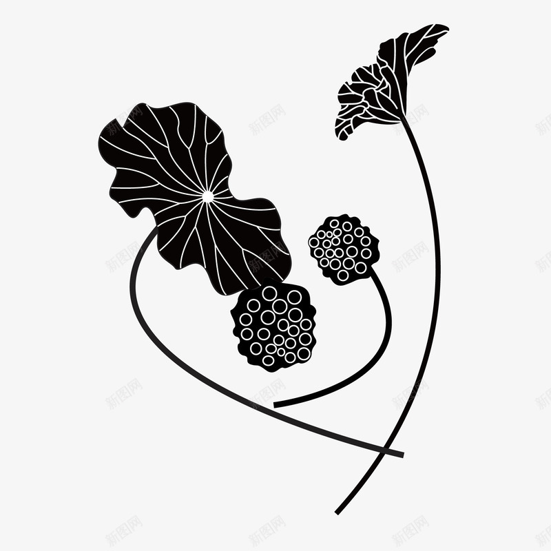 精美的荷花莲藕装饰画png免抠素材_新图网 https://ixintu.com 剪影 精美的装饰画 荷花 荷花剪影 莲藕 装饰画