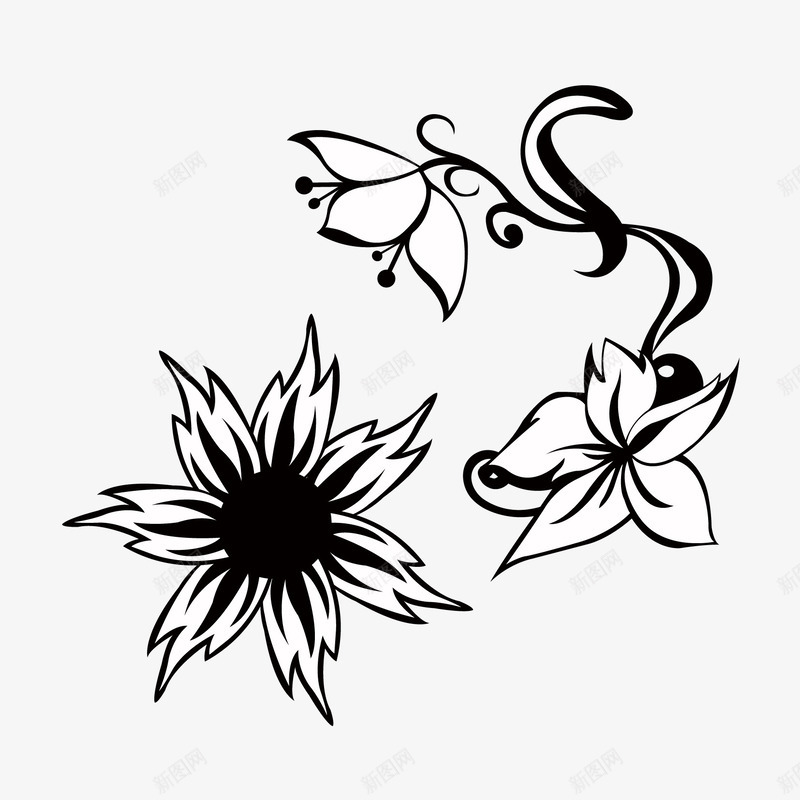 黑白花朵png免抠素材_新图网 https://ixintu.com 白色 花朵剪影 郁金香 黑色