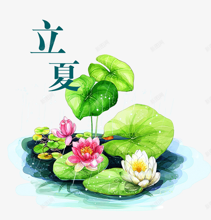 立夏二十四节气荷花psd免抠素材_新图网 https://ixintu.com 二十四节气 水彩绘 池塘 立夏 竹子荷花荷叶满池塘 背景装饰 荷塘 荷花