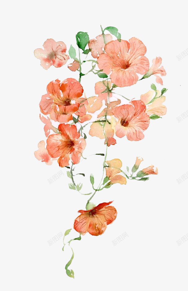 水彩鲜花png免抠素材_新图网 https://ixintu.com 卡通 手绘 水彩 秋天 粉色鲜花 绿叶 装饰