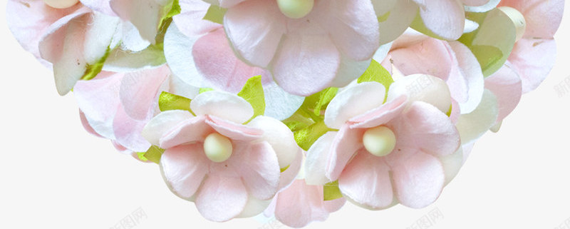 红绳花球png免抠素材_新图网 https://ixintu.com 红绳 红绳绳子 绳子 花球 鲜花
