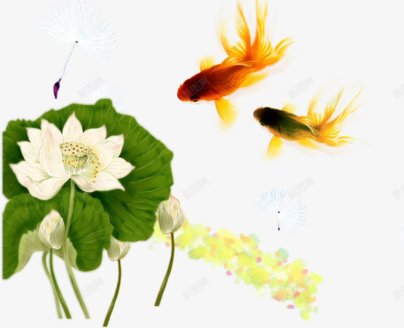黑色创意合成水彩荷花金鱼png免抠素材_新图网 https://ixintu.com 创意 合成 水彩 荷花 金鱼 黑色