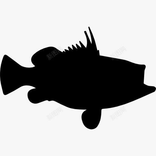 石斑鱼的形状图标png_新图网 https://ixintu.com 动物 动物王国 形状 海洋生物 石斑鱼 轮廓 鱼类