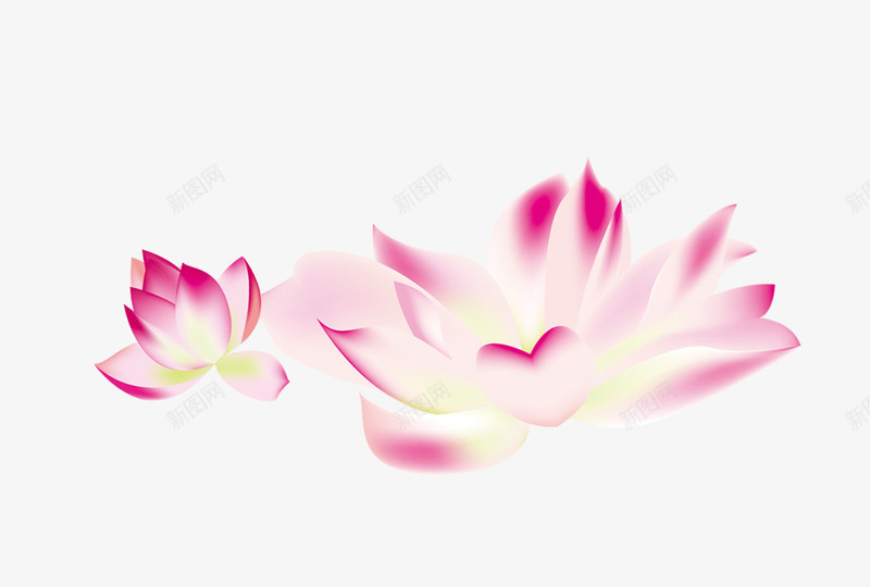 粉色手绘荷花装饰图案png免抠素材_新图网 https://ixintu.com 免抠PNG 手绘 粉色 荷花 装饰图案