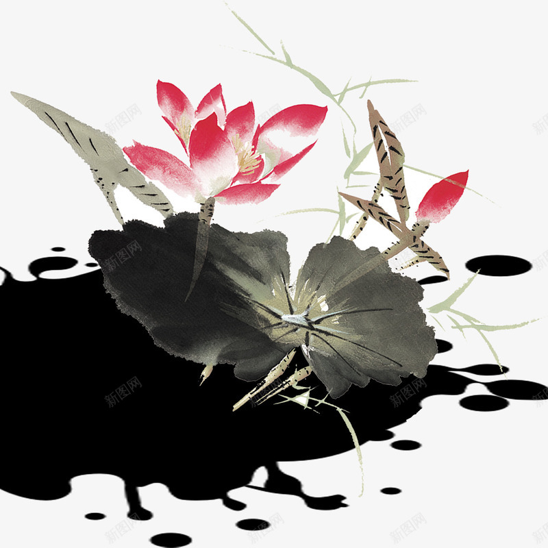 水墨风荷花psd免抠素材_新图网 https://ixintu.com 姘村椋 涓 鑽疯姳