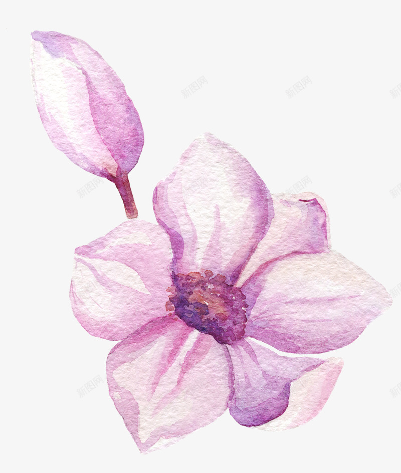 文艺清新花草海报装饰玉兰花png免抠素材_新图网 https://ixintu.com 小清新花草装饰 文艺花草PPT制作 植物插画 海报设计 花草包装礼盒 花草插画 花草装饰
