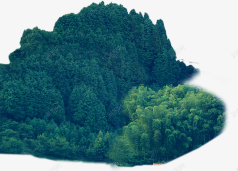 秋季黄绿色树叶落叶png免抠素材_新图网 https://ixintu.com 树叶 秋季 落叶 黄绿色