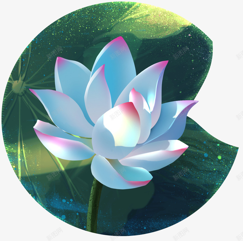 手绘装饰荷花元素psd免抠素材_新图网 https://ixintu.com 夏天 手绘插画 花朵 荷叶 荷花 莲花 装饰图案