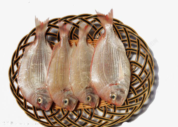 天然食品png免抠素材_新图网 https://ixintu.com 加吉鱼 品质保障 新鲜鲷鱼 绿色健康 肉质鲜嫩 营养美味 鲷鱼