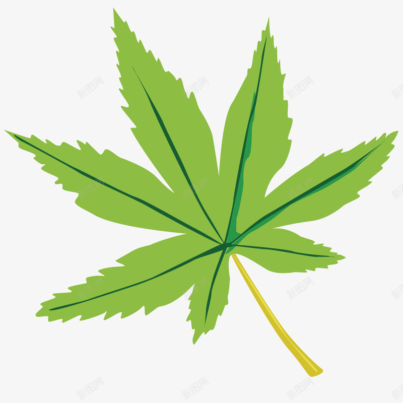绿色植物树叶png免抠素材_新图网 https://ixintu.com 形状 模型 绘画 花草叶子 装饰底纹