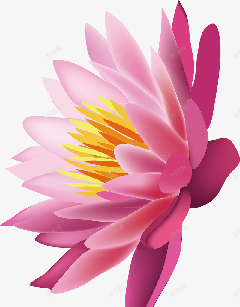 精美手绘红色荷花花蕊矢量图ai免抠素材_新图网 https://ixintu.com 手绘 精美 精美手绘 精美手绘红色荷花花蕊矢量 红色 红色荷花 花蕊矢量 荷花 矢量图