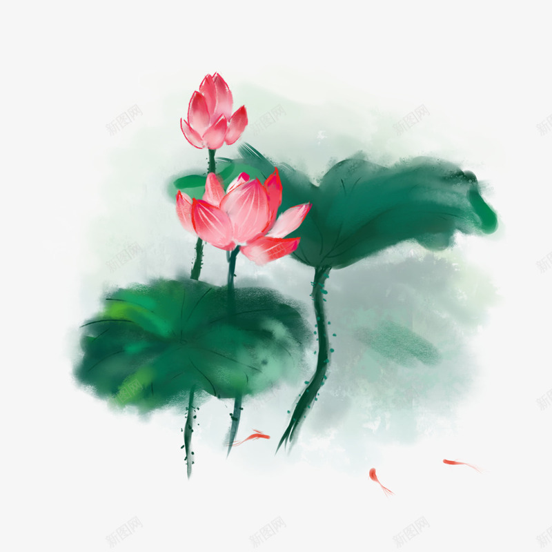 立夏盛开的荷花png免抠素材_新图网 https://ixintu.com 植物 立夏 绿叶红花 荷花