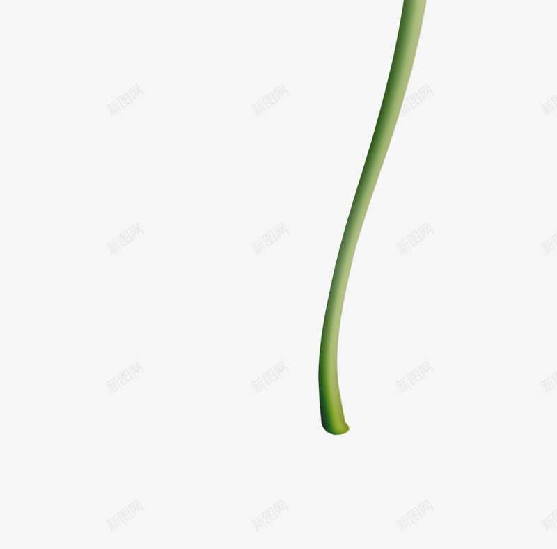 莲蓬png免抠素材_新图网 https://ixintu.com 绿色莲蓬 荷花 莲子 莲蓬