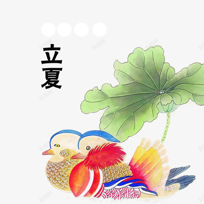 简约立夏节气荷花鸳鸯psd免抠素材_新图网 https://ixintu.com 中国传统 大海 树荫 游泳 立夏 简约 节气 荷塘 荷花鸳鸯 西瓜