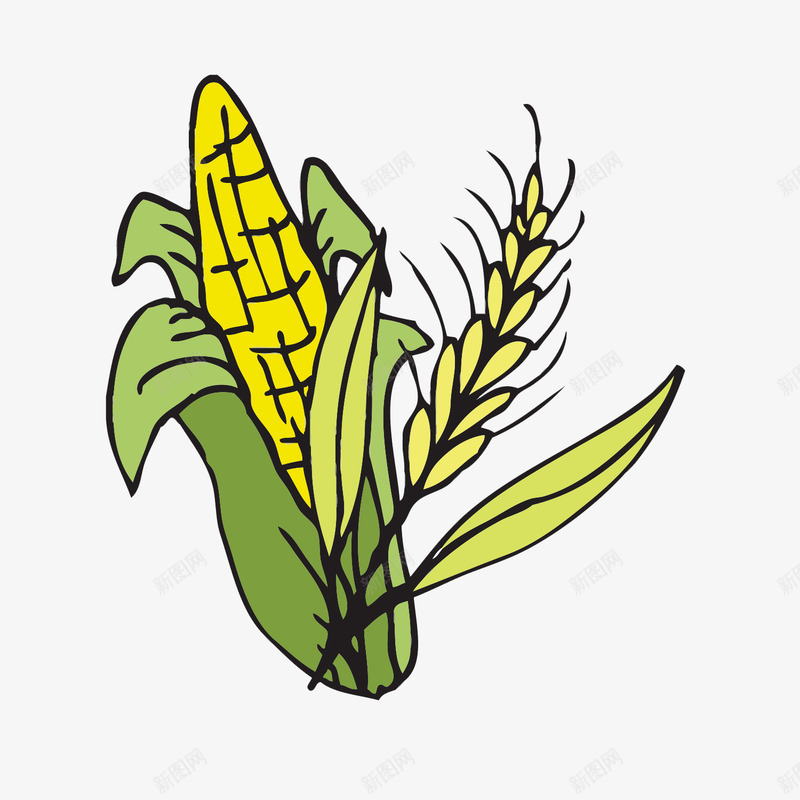 彩色粮食卡通手绘插图矢量图ai免抠素材_新图网 https://ixintu.com 健康食品 农作物 小麦 小麦穗 玉米 玉米穗 矢量图