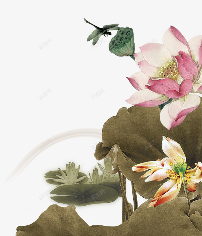 中国画荷花蜻蜓png免抠素材_新图网 https://ixintu.com 中国画荷花 荷叶 莲蓬 蜻蜓