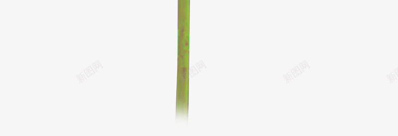 紫色花瓣黄色花蕊的荷花png免抠素材_新图网 https://ixintu.com 紫色 花瓣 花蕊 荷花 黄色