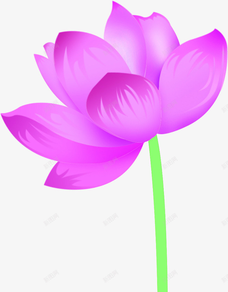 手绘粉色荷花儿童海报png免抠素材_新图网 https://ixintu.com 儿童 海报 粉色 荷花