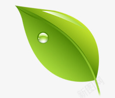 唯美精美清新树叶水滴png免抠素材_新图网 https://ixintu.com 唯美 护肤 树叶 水滴 淘宝 清新 精美 绿色